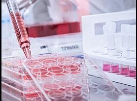 Comprehensive GLP virology efficacy testing to EPA, FDA, TGA & Health Canada requirements